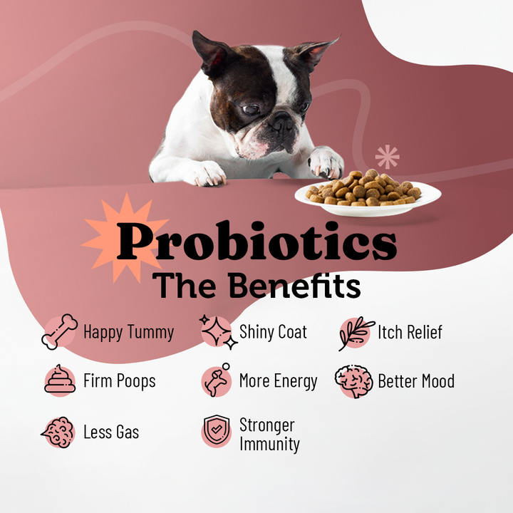 Probiotics