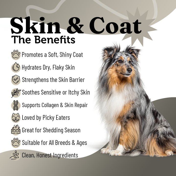 Skin & Coat