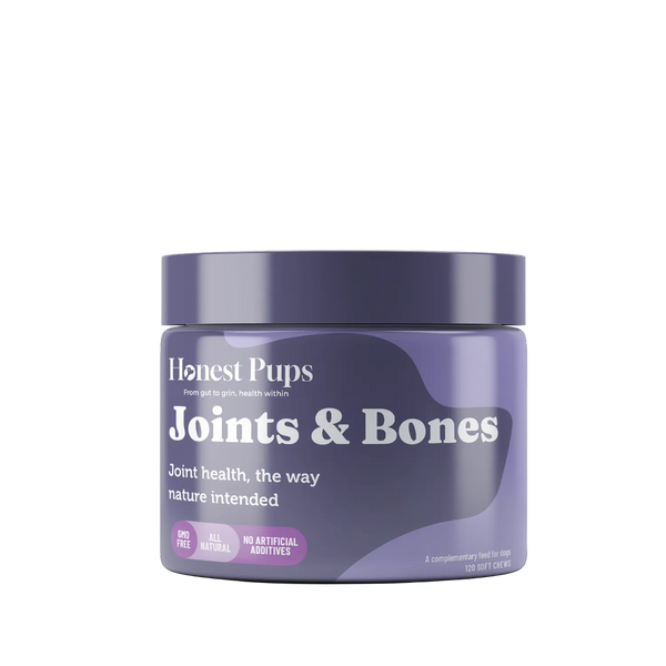 Joints & Bones