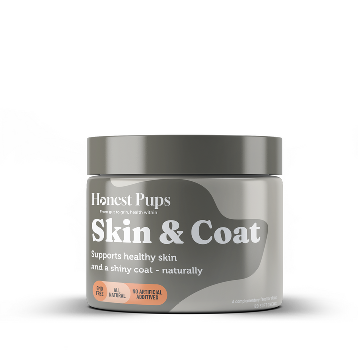 Skin & Coat